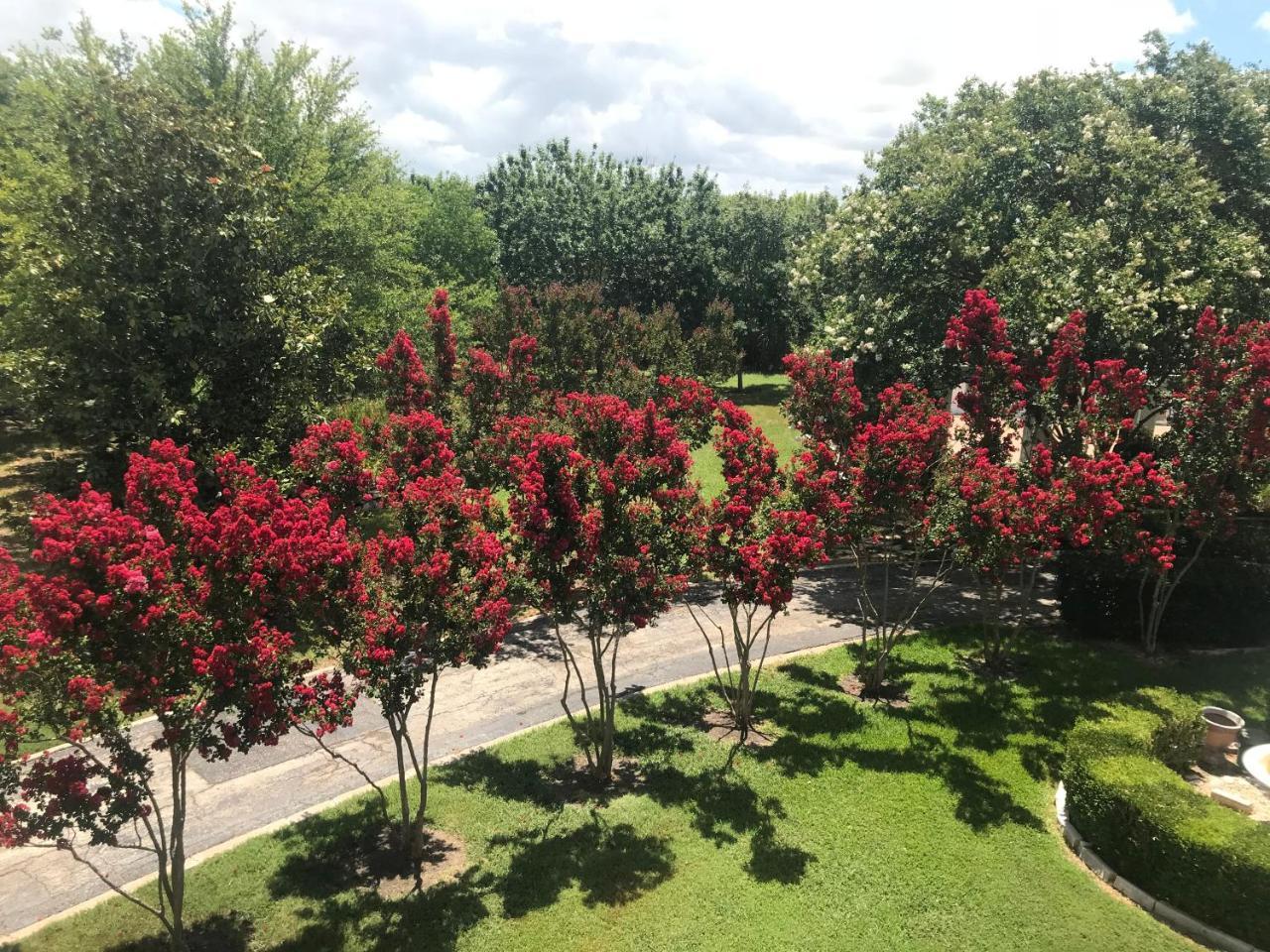 The Plantation House Boutique Inn Pflugerville Exteriör bild